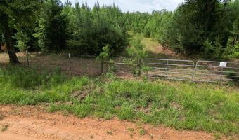 0 County Road 204, Ariton, AL 36311