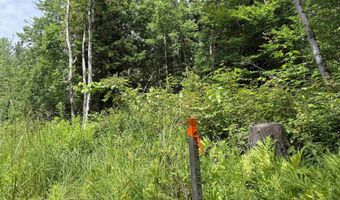 1386 Clif Reynolds Rd, Cambridge, VT 05444
