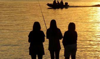 611 Osprey Cv, Brandon, MS 39047