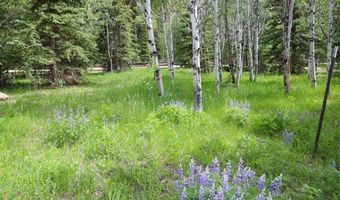 11109 County Road 742, Almont, CO 81210