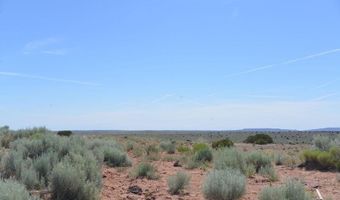 Lot # 120 River Meadows Ranch N9319, Concho, AZ 85924