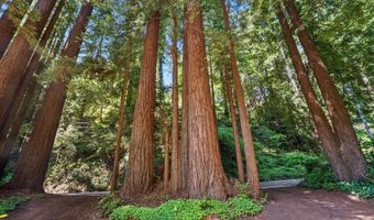 3920 Porter Gulch Rd, Aptos, CA 95003