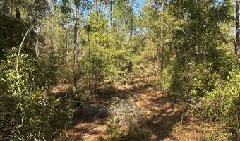 Lot 10 16th Ave, Bell, FL 32619