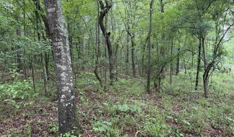 0 CR 3216, De Kalb, TX 75559
