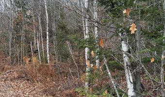 M5/L27 Pond Road, Abbot, ME 04406