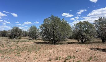 206 Brava Ln, Ash Fork, AZ 86320