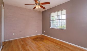9500 VIA PALMA CEIA Dr, Apopka, FL 32703