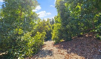 1832 Camino Rainbow, Fallbrook, CA 92028