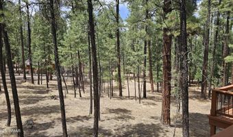 15 County Road 2065, Alpine, AZ 85920