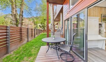 311 S Aspen St 3, Aspen, CO 81611