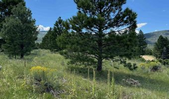 Lot 458 San Mateo, Angel Fire, NM 87710