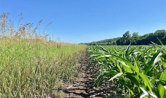 10 66 Acres M/L N 800 Rd, Baldwin City, KS 66006