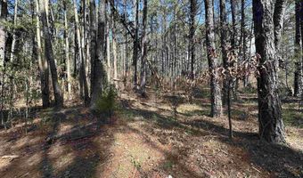 Lot 18 Panther Valley Dr, Drasco, AR 72530