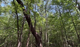 North Palestine Road, Baldwyn, MS 38824