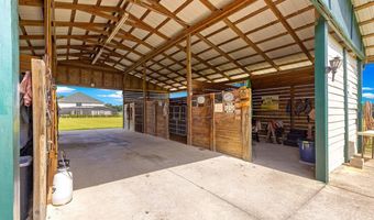 12345 NE 14TH Ave, Anthony, FL 32617