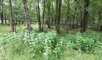 Long Brook Way & Woodland Road, Albrightsville, PA 18210