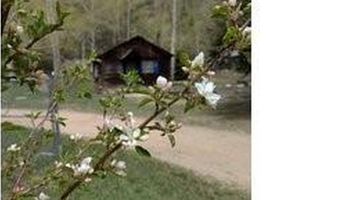 44174 Poudre Canyon Rd, Bellvue, CO 80512