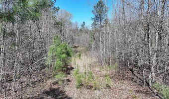 761 Richardson, Amity, AR 71921