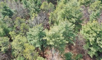 385 ELK CREEK Rd, Aaronsburg, PA 16820