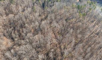 32960 US HIGHWAY 411, Ashville, AL 35953