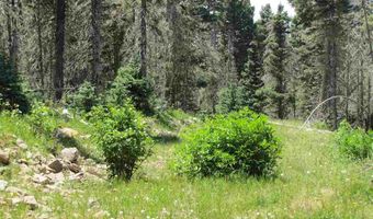 Lot 22 Hinz Drive, Angel Fire, NM 87710