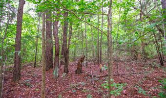 GA HWY 0103, West Point, GA 31833