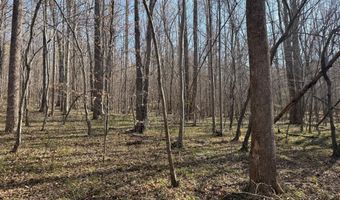 PAYNES POND RD, Arvonia, VA 23004