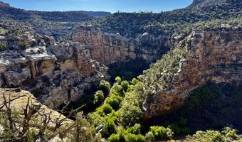 TBD X4 Road, Bedrock, CO 81411
