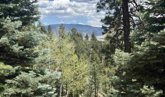 Lot 91ab Pam Coleman Drive, Angel Fire, NM 87710