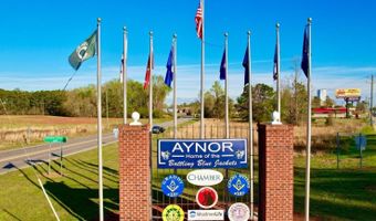 572 Woodland Farms Cir, Aynor, SC 29511