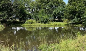 Tract Tbd W Farm Road 64, Ash Grove, MO 65604