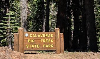 3292 El Camino Bootstrap, Arnold, CA 95223