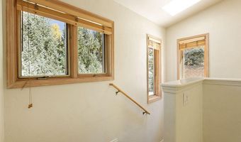 311 Midland Ave, Aspen, CO 81611