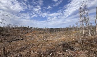 0 County Road 217 Lot 1, Blue Springs, MS 38828