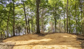NELLS KNOB Cv, Bath Springs, TN 38311