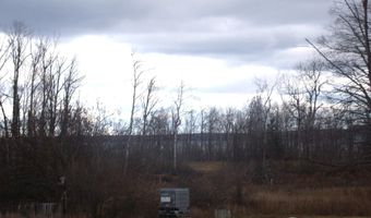 2327 McMichael Rd, Alanson, MI 49706