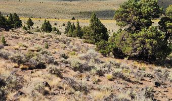 Fox Butte Road 2016000001901, Bend, OR 97701