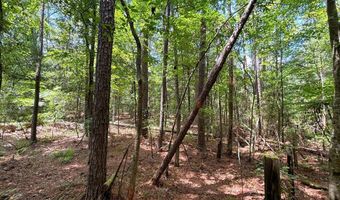 Dixon LN SE, Bogue Chitto, MS 39629