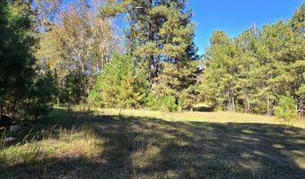 7501 Rainey Morris Rd, Appling, GA 30802