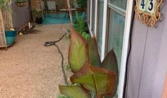 43 Harbour Town St, Abilene, TX 79606