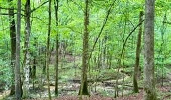 CR 265, Bruce, MS 38915