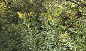 124-125 Prospect St 1230-VL00.0005  1230-VL0004, Barre, VT 05641