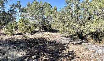 W Rawhide Ranch Road lot 46, Ash Fork, AZ 86320