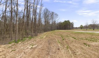 1144 Little Big Mound Rd, Bentonia, MS 39040