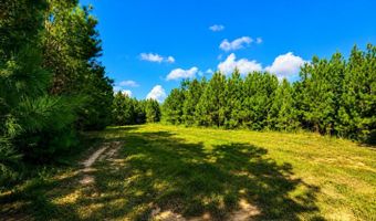SW Auburn Drive, Bogue Chitto, MS 39629