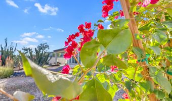 3690 E CANYON Way, Chandler, AZ 85249