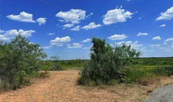 TBD East Tract County Road 356, Anson, TX 79501