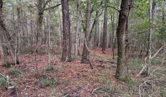 Lower Bay Road, Bay St. Louis, MS 39520