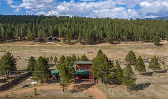 15 E Coronado Rd, Angel Fire, NM 87710