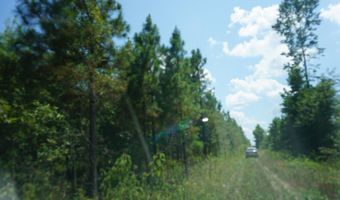 000 Stokes Rd, Bald Knob, AR 72010